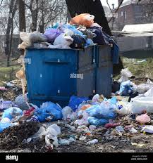 Best Hoarding Cleanup  in Pewee Valley, KY